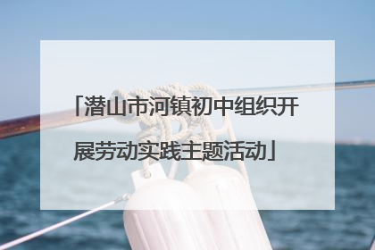 潜山市河镇初中组织开展劳动实践主题活动