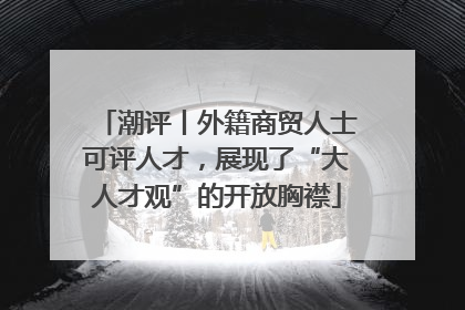潮评丨外籍商贸人士可评人才，展现了“大人才观”的开放胸襟