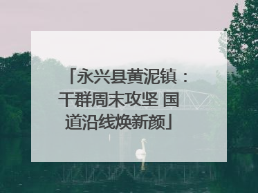 永兴县黄泥镇：干群周末攻坚 国道沿线焕新颜