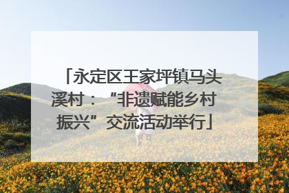 永定区王家坪镇马头溪村：“非遗赋能乡村振兴”交流活动举行