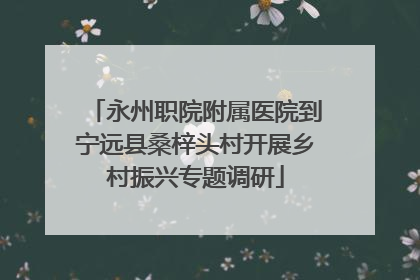 永州职院附属医院到宁远县桑梓头村开展乡村振兴专题调研