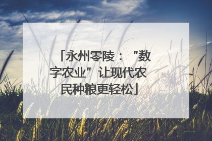永州零陵：“数字农业”让现代农民种粮更轻松