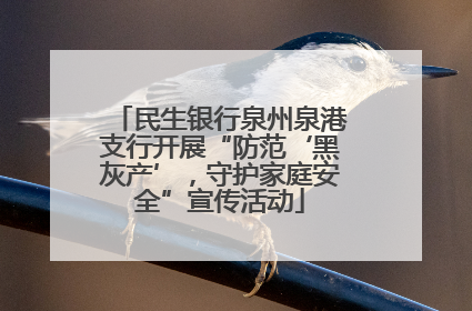 民生银行泉州泉港支行开展“防范‘黑灰产’，守护家庭安全”宣传活动
