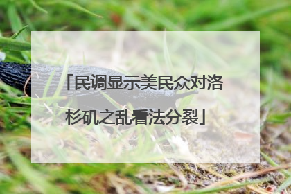 民调显示美民众对洛杉矶之乱看法分裂