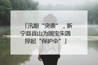 汛期“突袭”，新宁县崀山为国宝朱鹮撑起“保护伞”