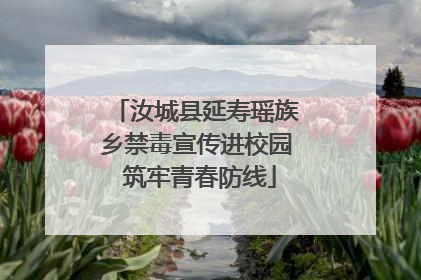 汝城县延寿瑶族乡禁毒宣传进校园 筑牢青春防线
