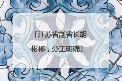 江苏省副省长胡彬郴，分工明确