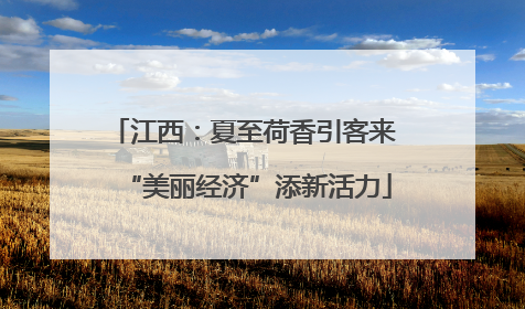 江西：夏至荷香引客来 “美丽经济”添新活力