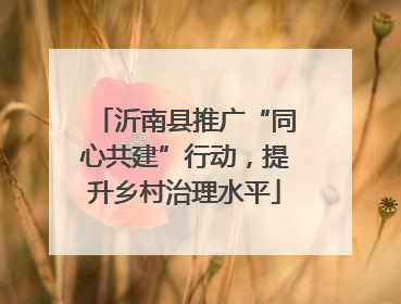 沂南县推广“同心共建”行动，提升乡村治理水平