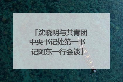 沈晓明与共青团中央书记处第一书记阿东一行会谈