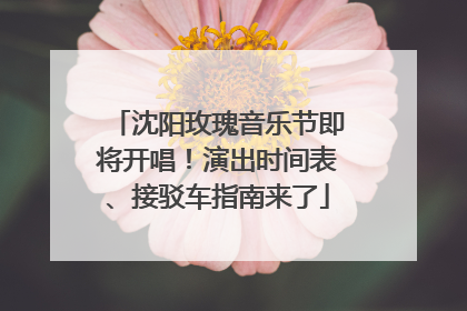 沈阳玫瑰音乐节即将开唱！演出时间表、接驳车指南来了