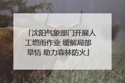 沈阳气象部门开展人工增雨作业 缓解局部旱情 助力森林防火