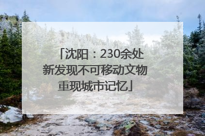 沈阳：230余处新发现不可移动文物重现城市记忆