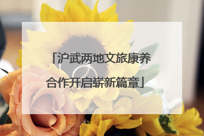 沪武两地文旅康养合作开启崭新篇章