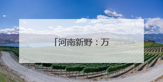 河南新野：万亩鲜桃喜丰收
