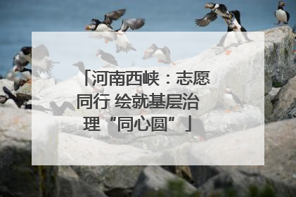 河南西峡：志愿同行 绘就基层治理“同心圆”