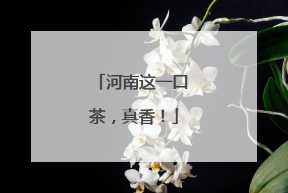 河南这一口茶，真香！