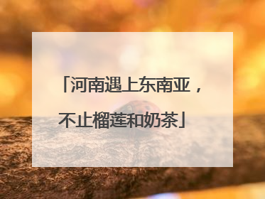 河南遇上东南亚，不止榴莲和奶茶