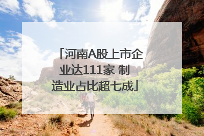 河南A股上市企业达111家 制造业占比超七成