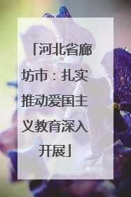 河北省廊坊市：扎实推动爱国主义教育深入开展