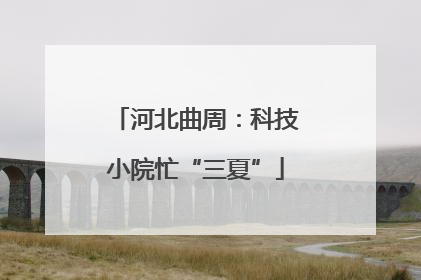 河北曲周：科技小院忙“三夏”