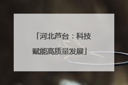 河北芦台：科技赋能高质量发展