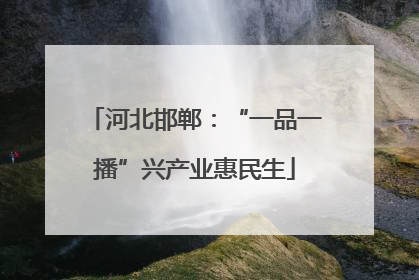 河北邯郸：“一品一播”兴产业惠民生