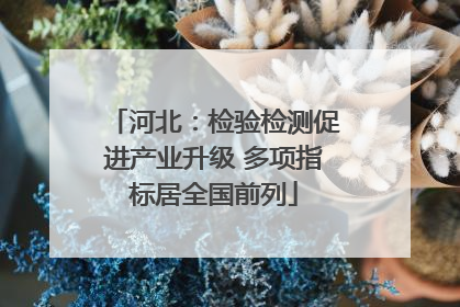 河北：检验检测促进产业升级 多项指标居全国前列
