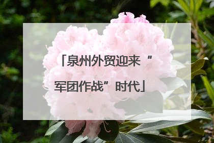 泉州外贸迎来“军团作战”时代