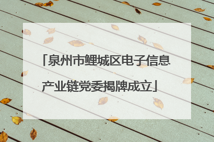 泉州市鲤城区电子信息产业链党委揭牌成立