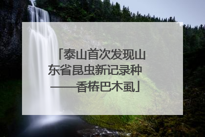 泰山首次发现山东省昆虫新记录种——香椿巴木虱