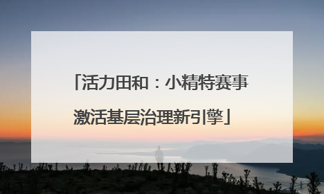 活力田和：小精特赛事激活基层治理新引擎