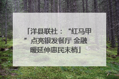 洋县联社：“红马甲”点亮银发餐厅 金融暖延伸惠民末梢