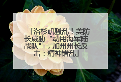 洛杉矶骚乱！美防长威胁“动用海军陆战队”，加州州长反击：精神错乱
