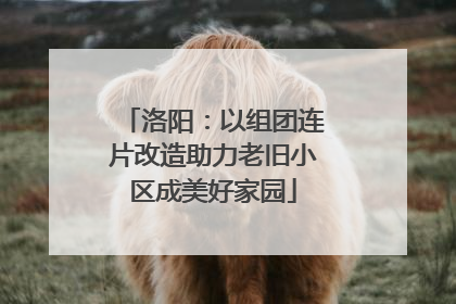 洛阳：以组团连片改造助力老旧小区成美好家园
