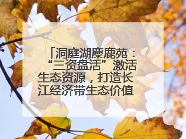洞庭湖麋鹿苑：“三资盘活”激活生态资源，打造长江经济带生态价值转化新标杆