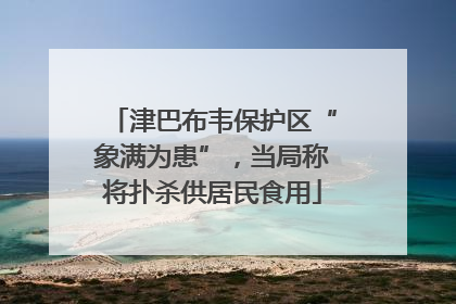 津巴布韦保护区“象满为患”，当局称将扑杀供居民食用