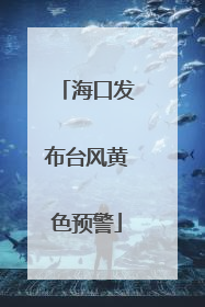 海口发布台风黄色预警