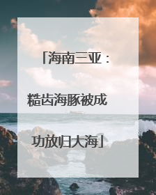 海南三亚：糙齿海豚被成功放归大海