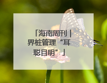 海南周刊｜界桩管理“耳聪目明”