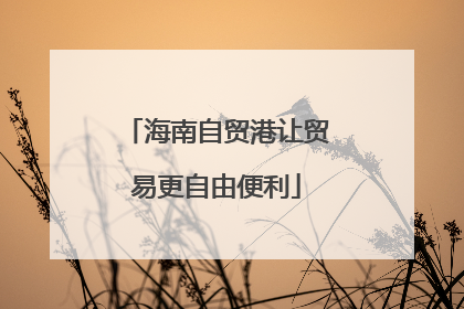 海南自贸港让贸易更自由便利