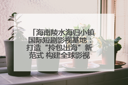 海南陵水海归小镇国际短剧影视基地：打造“拎包出海”新范式 构建全球影视产业“新热土”