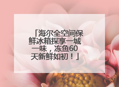 海尔全空间保鲜冰箱探享一城一味，冻鱼60天新鲜如初！