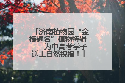 济南植物园“金榜题名”植物特辑——为中高考学子送上自然祝福！