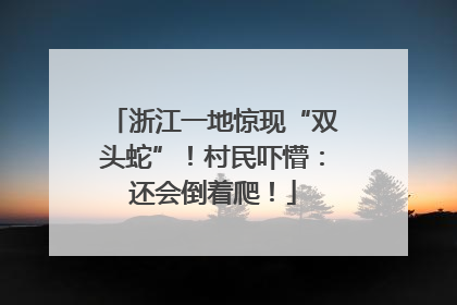 浙江一地惊现“双头蛇”！村民吓懵：还会倒着爬！