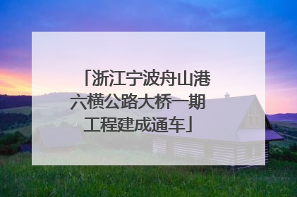 浙江宁波舟山港六横公路大桥一期工程建成通车