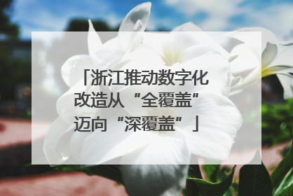 浙江推动数字化改造从“全覆盖”迈向“深覆盖”