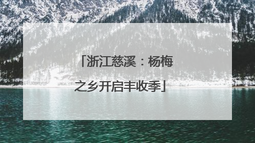浙江慈溪：杨梅之乡开启丰收季