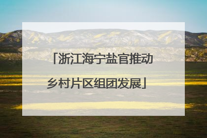 浙江海宁盐官推动乡村片区组团发展
