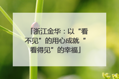 浙江金华：以“看不见”的用心成就“看得见”的幸福
